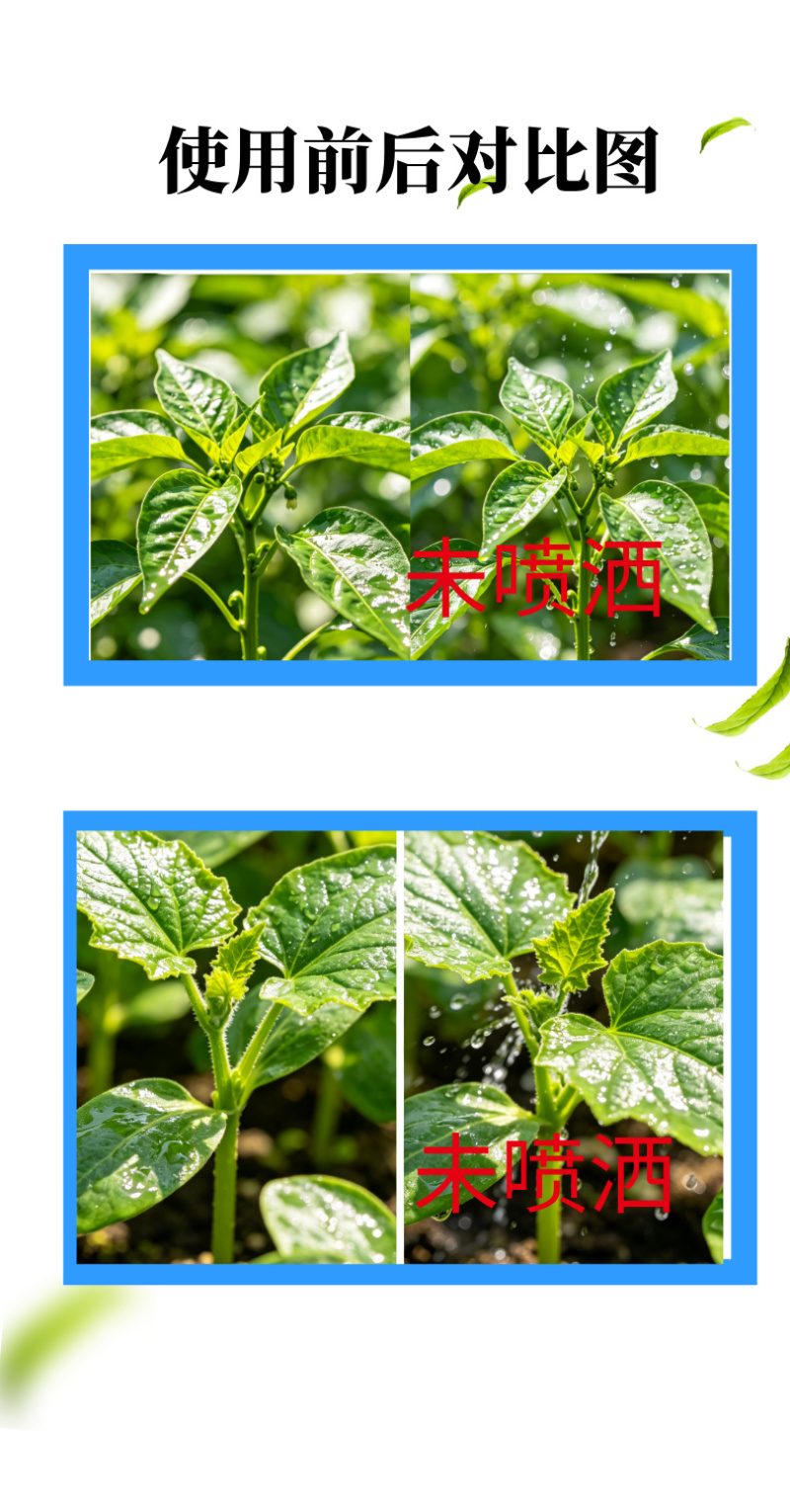 魔橙橙皮精油农用助剂渗透增效剂飞防青橘子桔子皮精油叶面肥