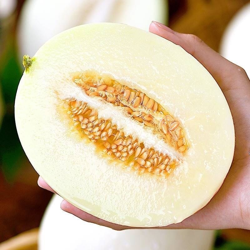 阎良甜瓜，各大电商平台发货，包售后，包质量，团购，多多仓
