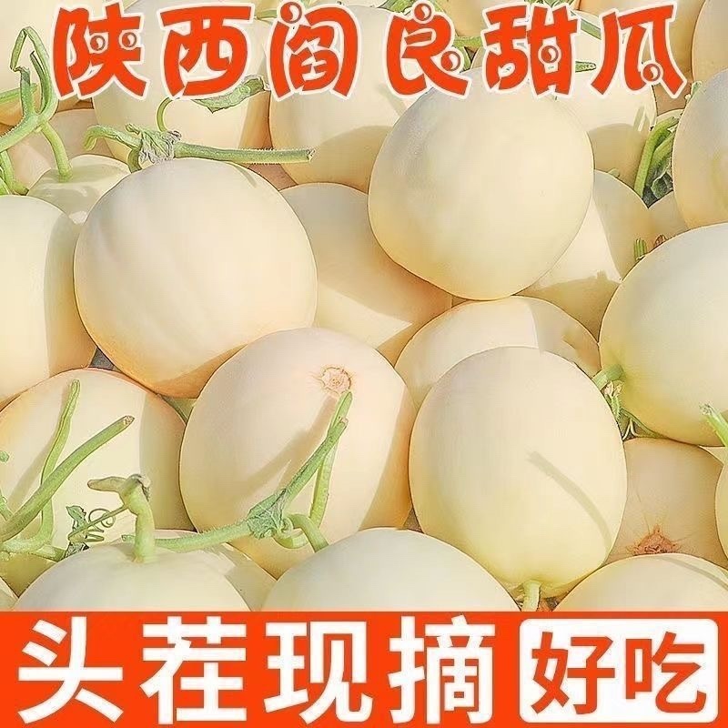 阎良甜瓜，各大电商平台发货，包售后，包质量，团购，多多仓