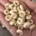 贝母平贝母统货无硫颜色好规格齐全品质保证价格优惠