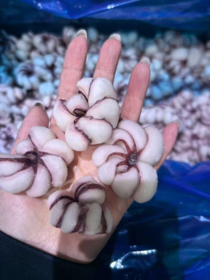 花开富贵鱿鱼刻花鱿鱼条鱿鱼花火花铁板食材