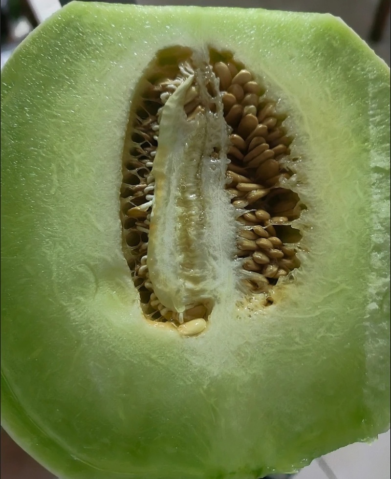 玉菇甜瓜电商一件代发产地直发