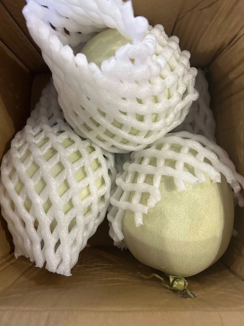 玉菇甜瓜电商一件代发产地直发
