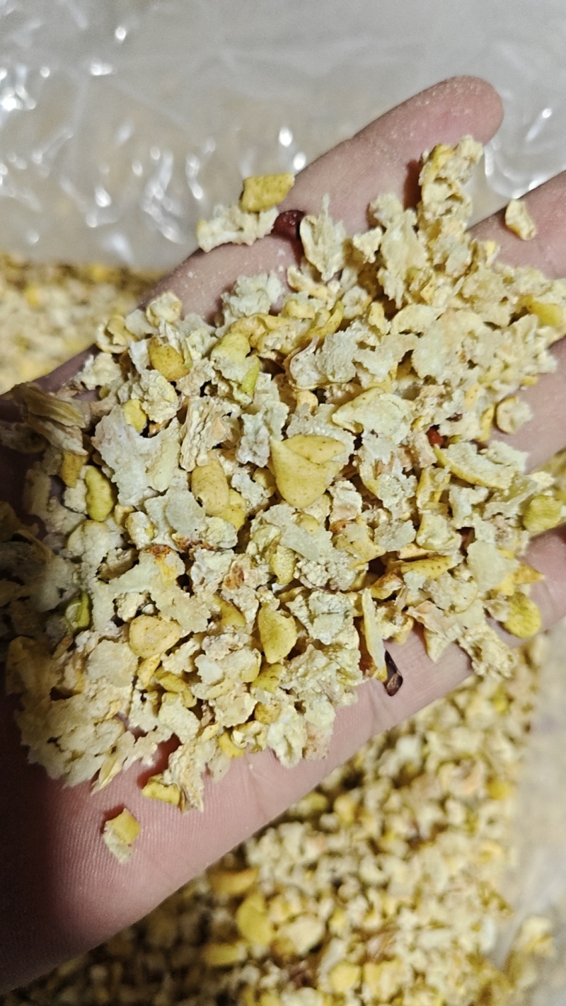 雪梨丁梨丁