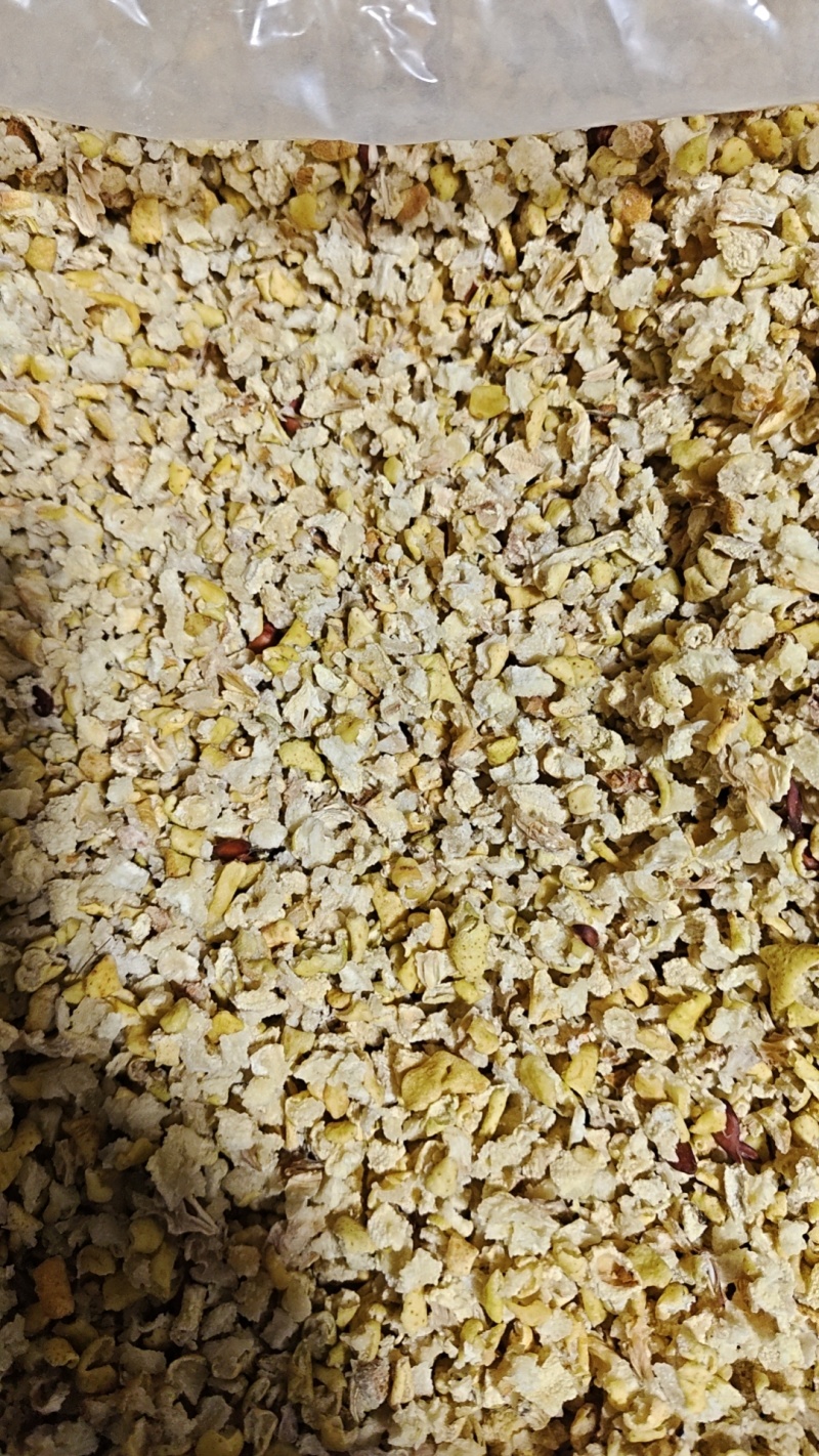 雪梨丁梨丁
