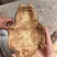 龟板生扒旱龟板