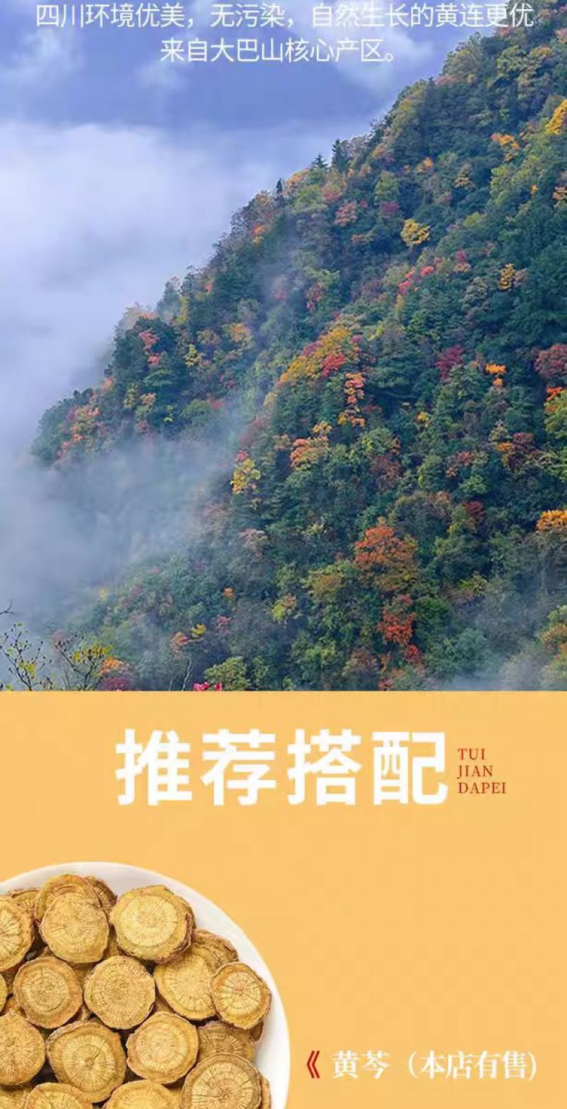 包邮）黄连中药材500g四川鸡爪黄连泡水喝中药粉批发