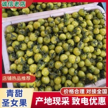 【热卖】青甜二号圣女果脆甜多汁价格美丽小番茄