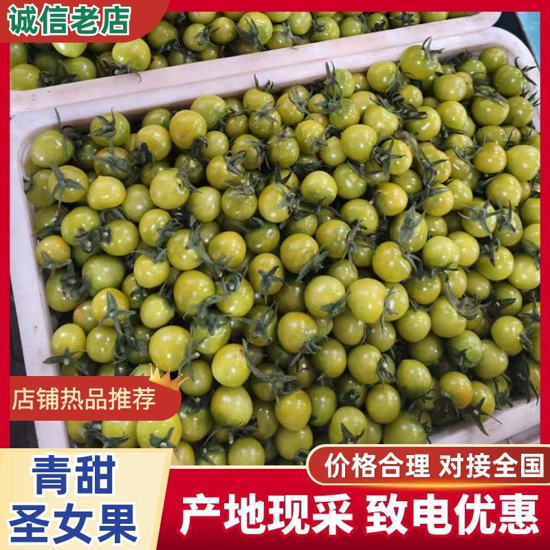 【热卖】青甜二号圣女果脆甜多汁价格美丽小番茄