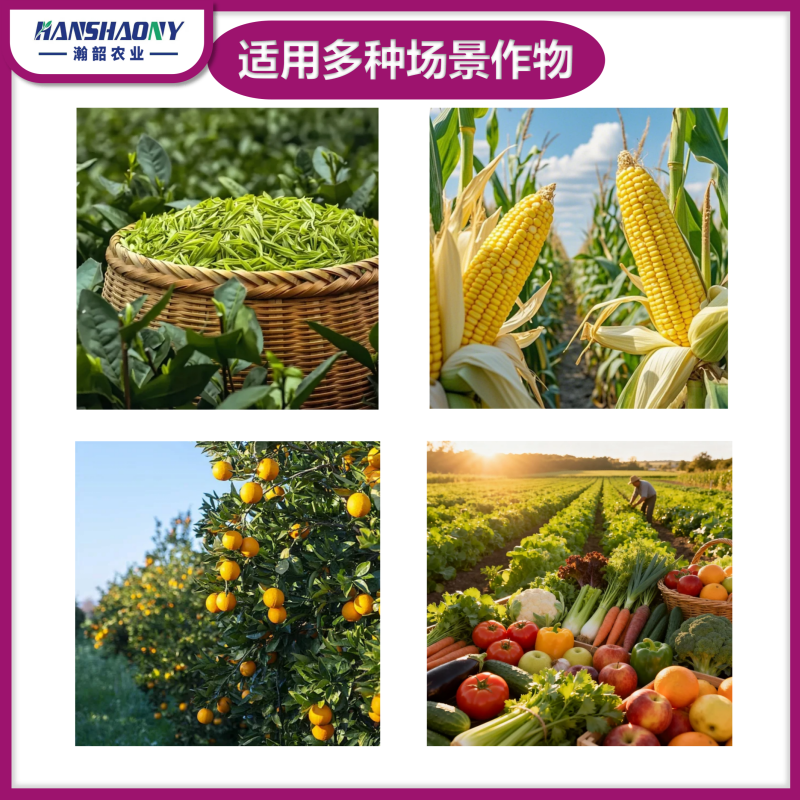 高纯度矿源黄腐酸钾疏松土壤缓解板结促根壮苗农用水溶肥料