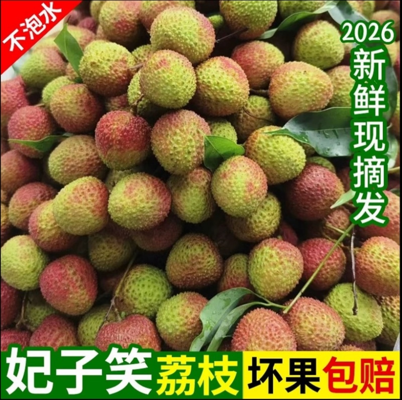 海南妃子笑荔枝一件代发对接电商商超产地直供大量货源