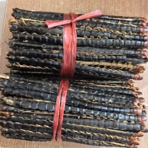 蜈蚣规格齐全品质保证价格优惠