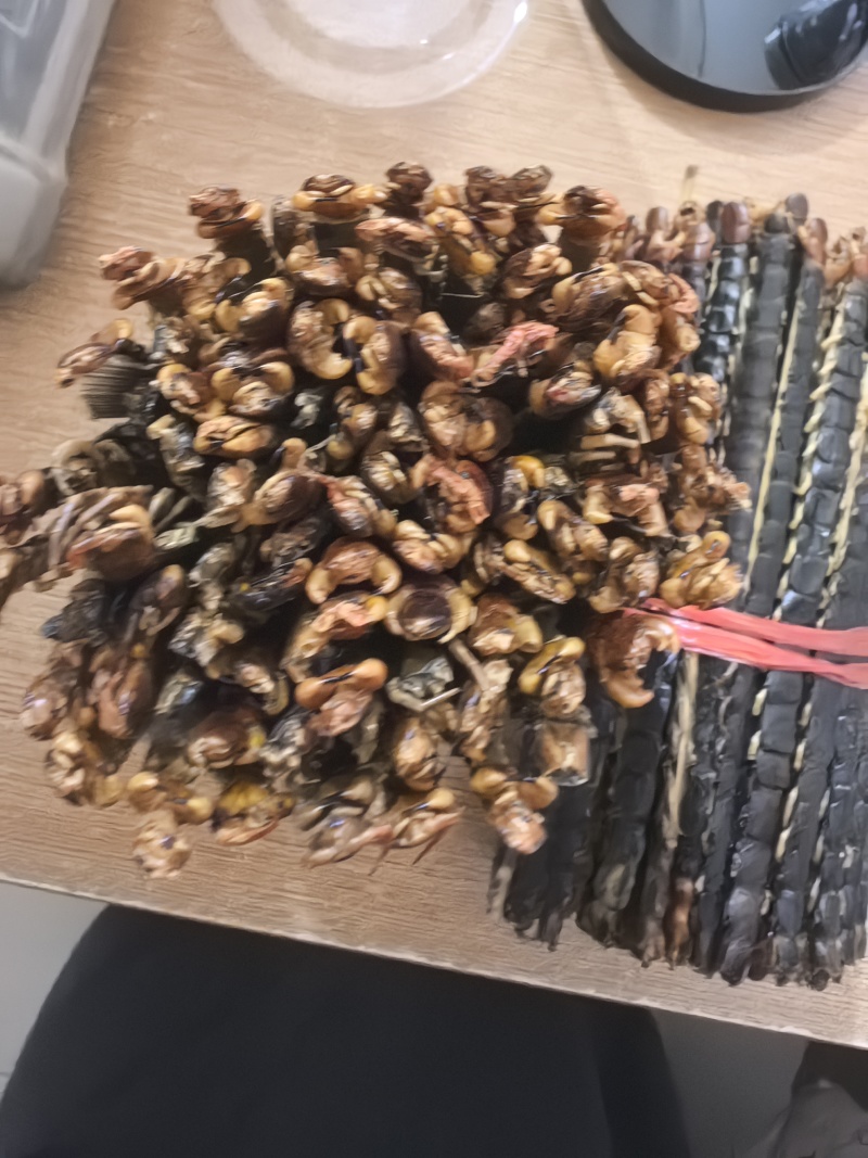 蜈蚣规格齐全品质保证价格优惠购买联系加微