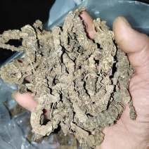 云南野生中药材缬草根包邮无硫缬草蜘蛛香马蹄香正品