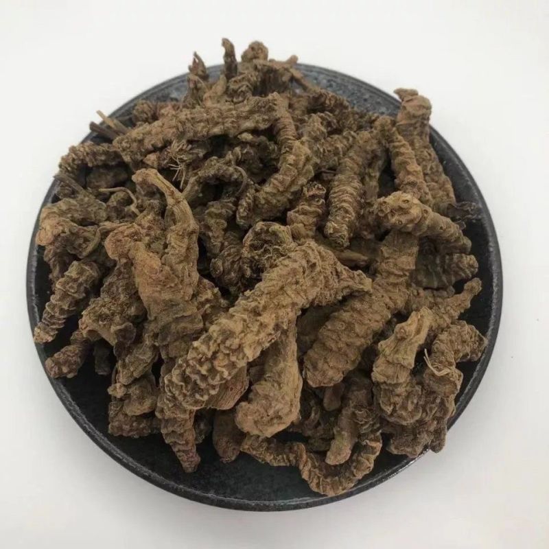云南野生中药材缬草根包邮无硫缬草蜘蛛香马蹄香正品