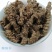 云南野生中药材缬草根包邮无硫缬草蜘蛛香马蹄香正品