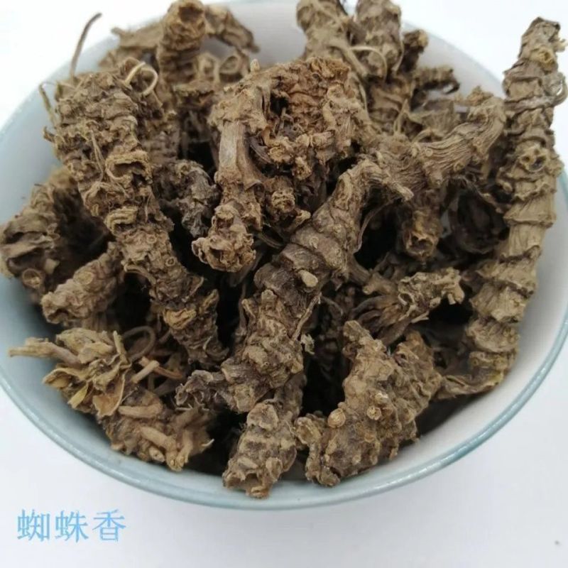 云南野生中药材缬草根包邮无硫缬草蜘蛛香马蹄香正品