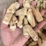 西洋参西洋参个选个规格齐全价格实惠品质保证