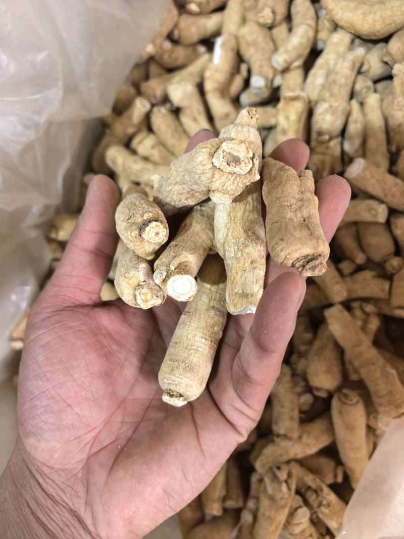 西洋参西洋参个选个规格齐全价格实惠品质保证