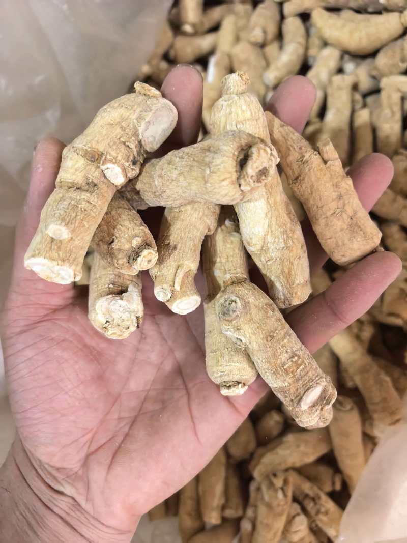 西洋参西洋参个选个规格齐全价格实惠品质保证