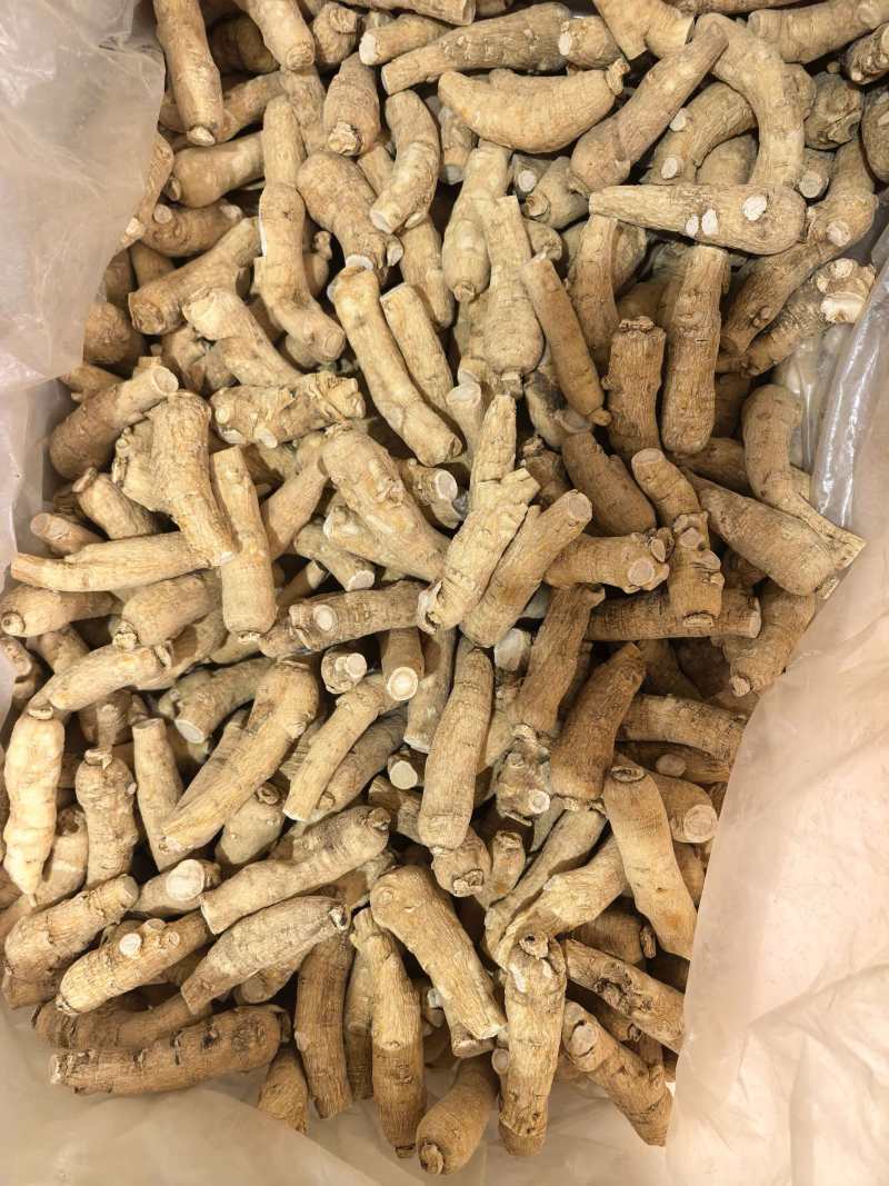 西洋参西洋参个选个规格齐全价格实惠品质保证