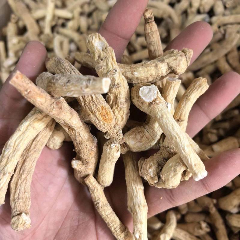 西洋参西洋参个规格齐全品质保证价格实惠