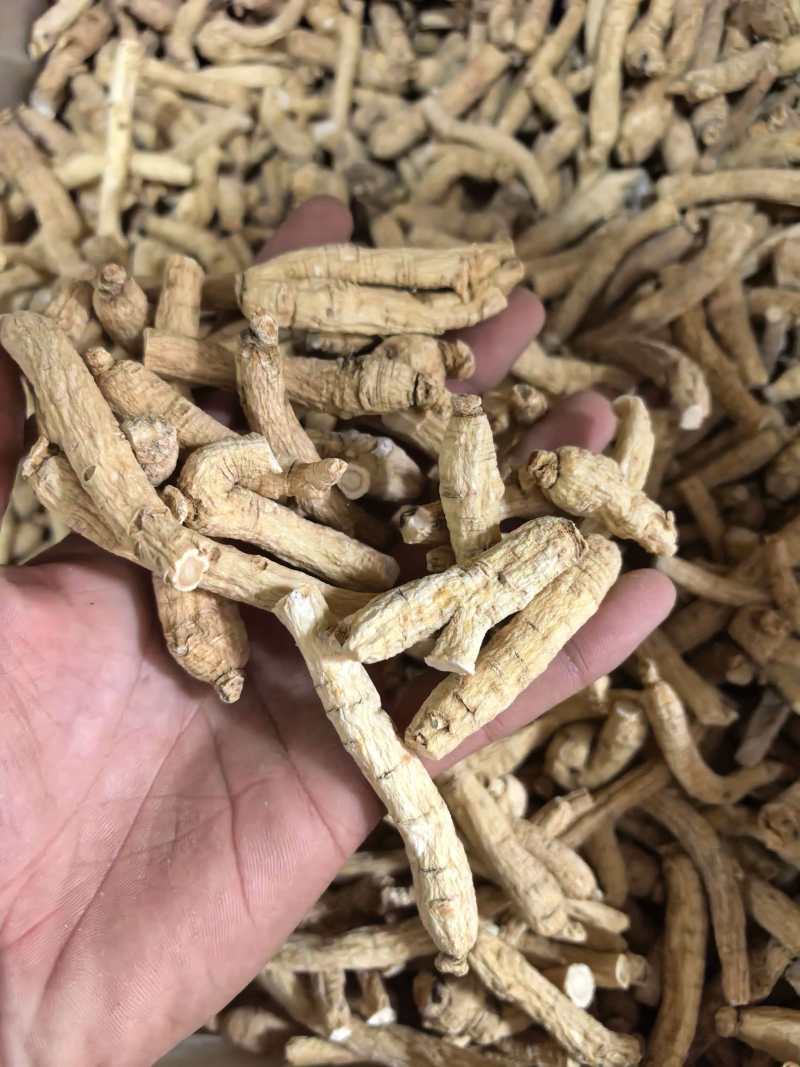 西洋参西洋参个规格齐全品质保证价格实惠
