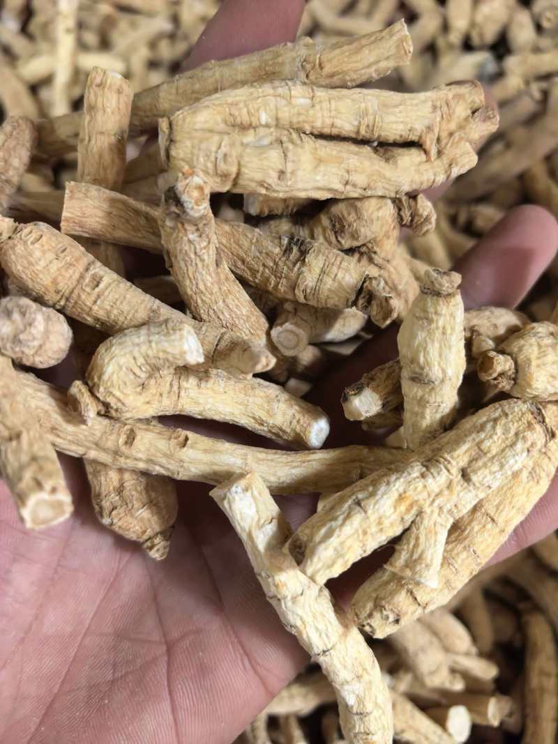 西洋参西洋参个规格齐全品质保证价格实惠