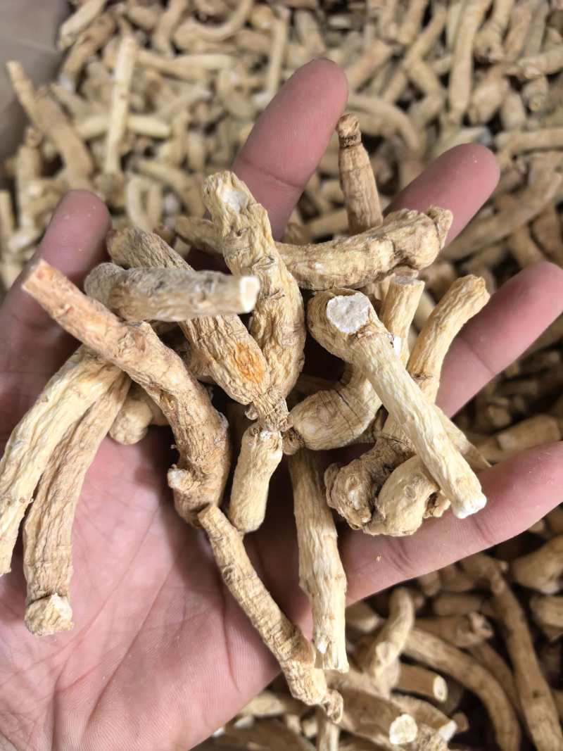 西洋参西洋参个规格齐全品质保证价格实惠