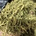 金银花纯青花选货规格齐全品质保证价格实惠
