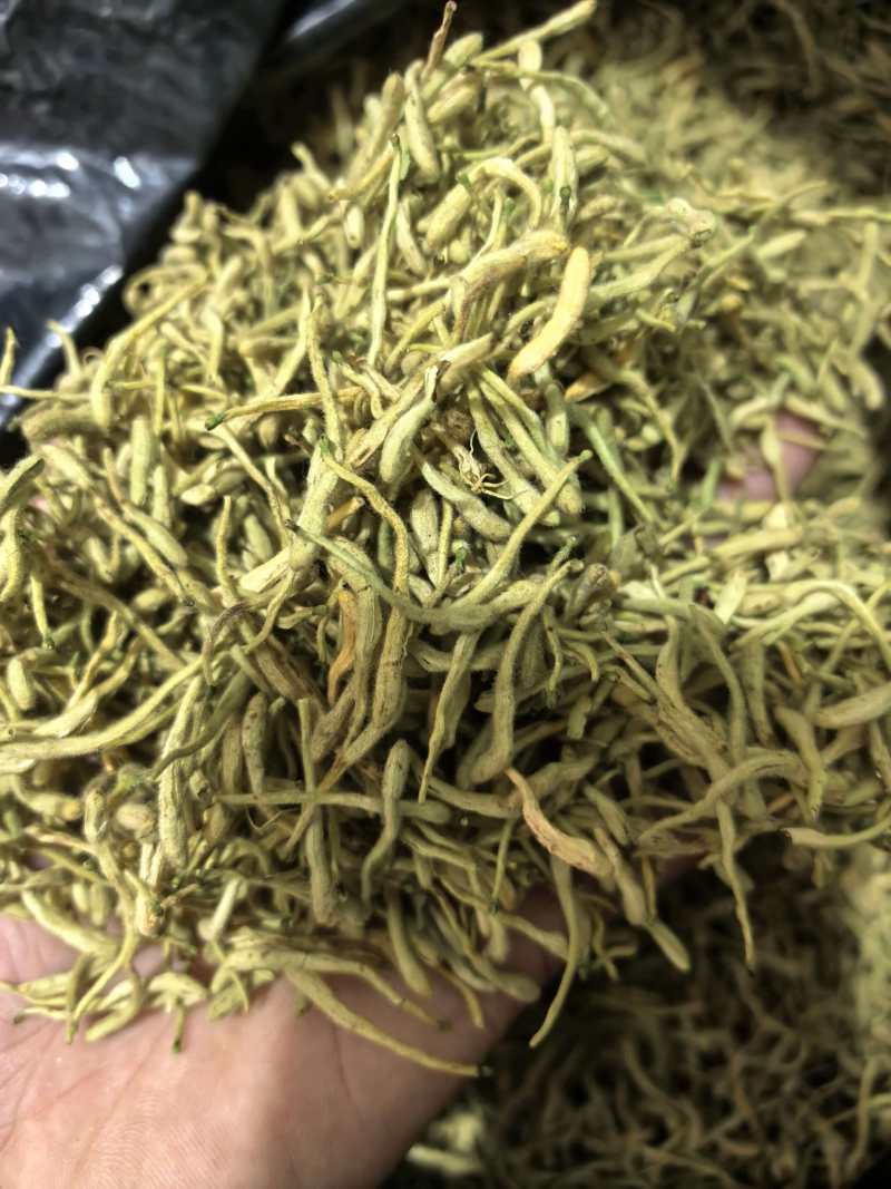 金银花纯青花选货规格齐全品质保证价格实惠