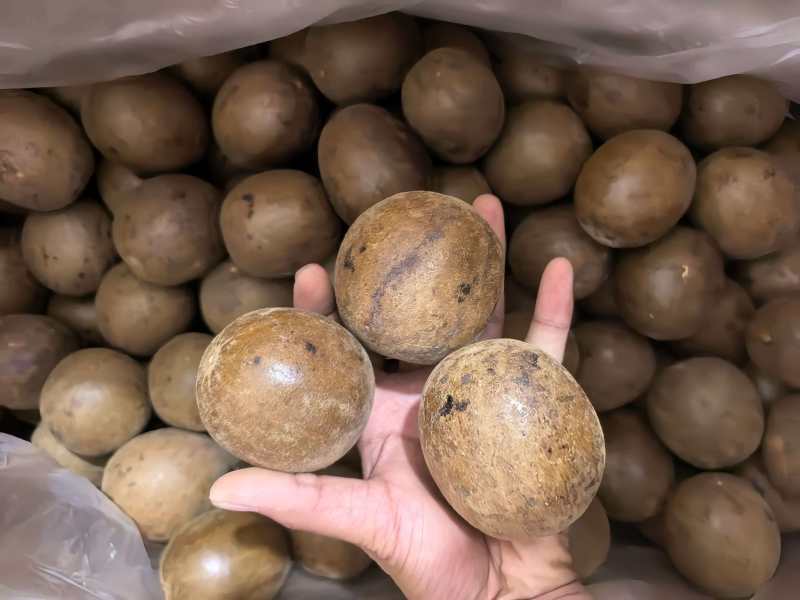 罗汉果广西精品大选果规格齐全品质保证价格优惠