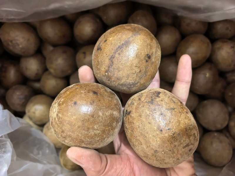罗汉果广西精品大选果规格齐全品质保证价格优惠
