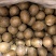 罗汉果广西精品大选果规格齐全品质保证价格优惠