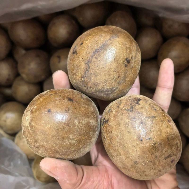 罗汉果广西精品大选果规格齐全品质保证价格优惠