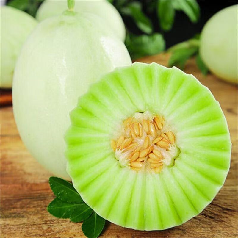 精品玉菇甜瓜寿光冰淇淋玉菇大量上市对接全国市场商超
