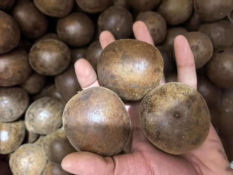 罗汉果广西罗汉果中果规格齐全品质保证价格实惠
