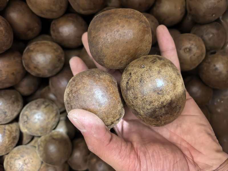 罗汉果广西罗汉果中果规格齐全品质保证价格实惠
