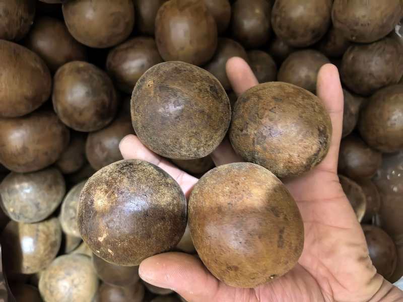 罗汉果广西罗汉果中果规格齐全品质保证价格实惠