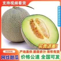 山东寿光网纹瓜厚皮甜瓜货量充足支持一件代发甜瓜