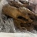卤鹅全熟可地摊商超餐饮可视频看货现货供应
