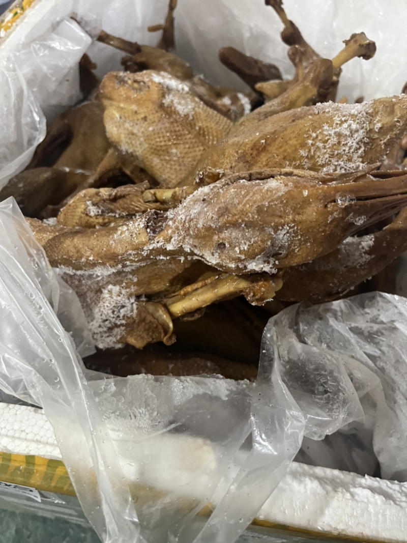 卤鹅全熟可地摊商超餐饮可视频看货现货供应