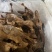 卤鹅全熟可地摊商超餐饮可视频看货现货供应