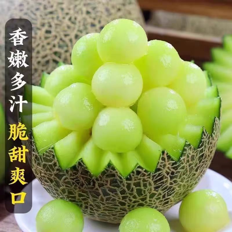 山东寿光网纹瓜厚皮甜瓜货量充足支持一件代发甜瓜