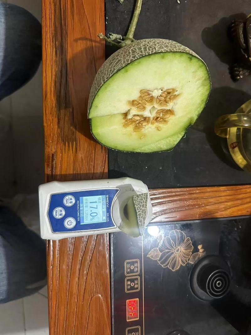 山东寿光网纹瓜厚皮甜瓜货量充足支持一件代发甜瓜