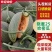 晓蜜25哈密瓜山东寿光甜瓜大量上市脆甜多汁品种齐全