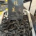 正宗黄精茶，养生茶新选择，品质有保障，健康新生活，欢迎