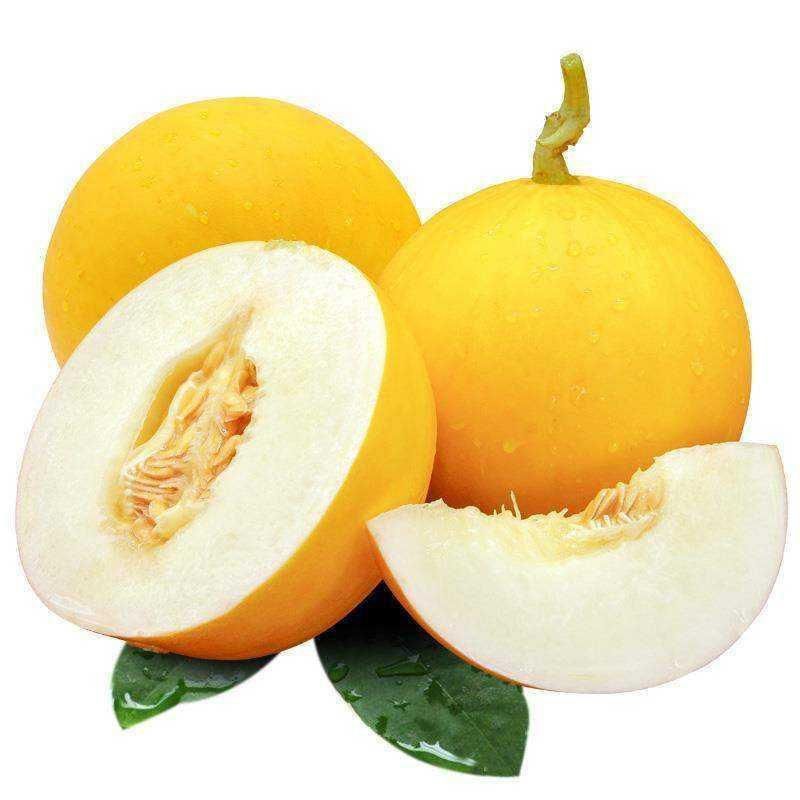 精品黄皮瓜久红瑞保质保量山东寿光黄皮甜瓜全国发货