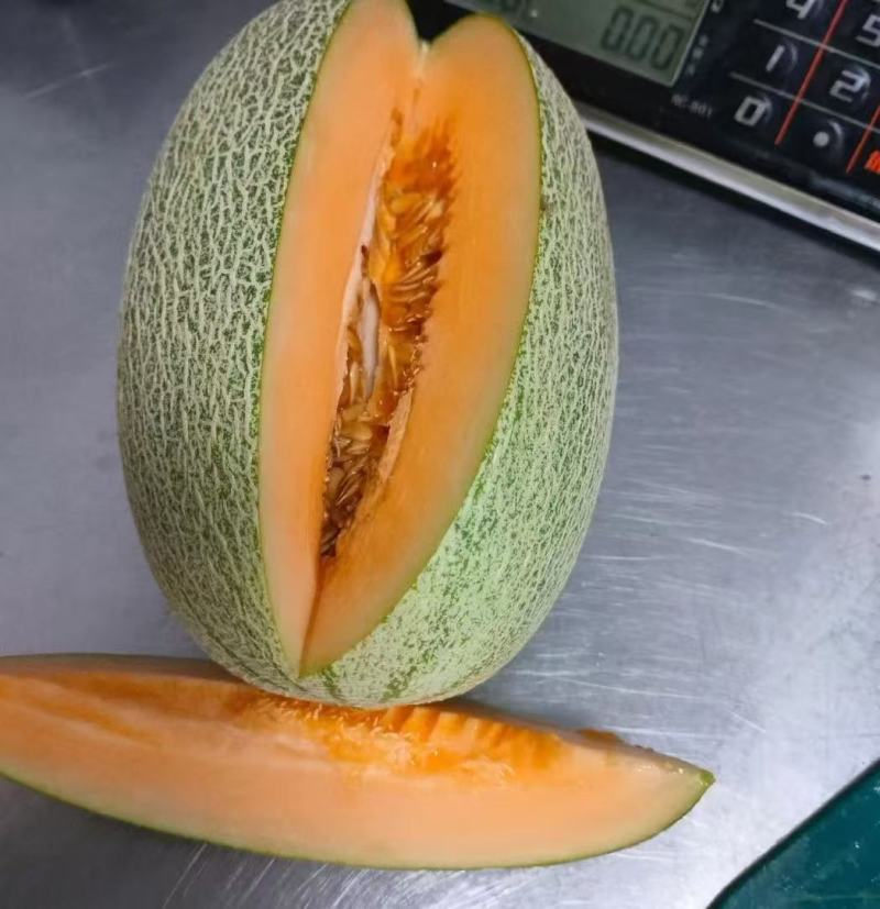 海南哈密瓜
