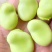 湖北老河口蚕豆香蕉蚕豆基地直供量大从优欢迎联系联